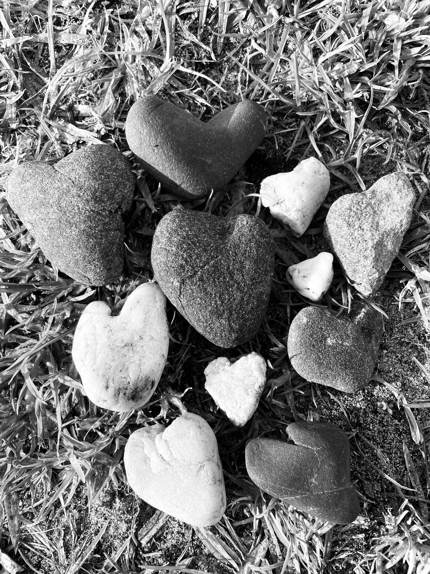 Heart-shaped stones arranged in the grass